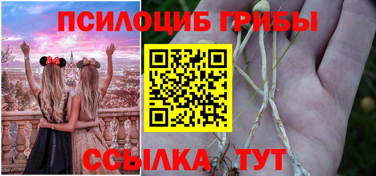 Псилоцибиновые грибы мухоморы Железноводск